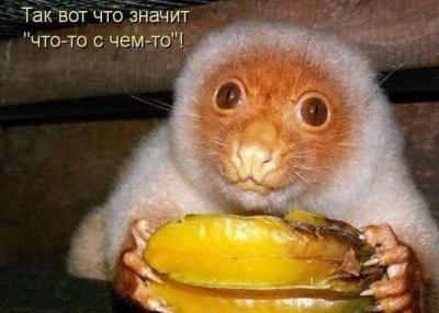 Прикрепленное изображение: VQZ9Q18eEpQ.jpg